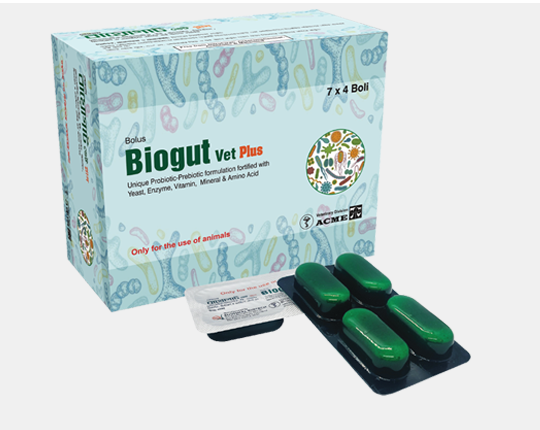 Biogut vet plus Bolus 7x4's