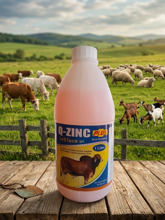 Q Zinc Plus 1 ltr