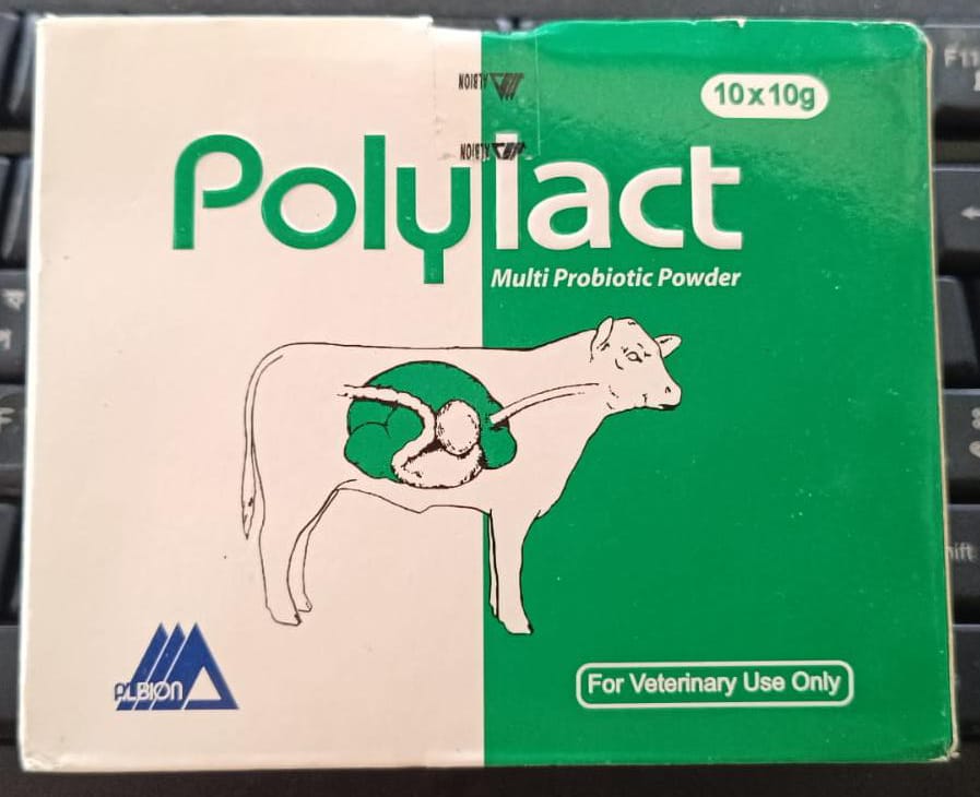 Polylact Powder 10gm
