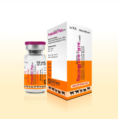 Predexanol Plus 10ml IM/IV/SC Injection
