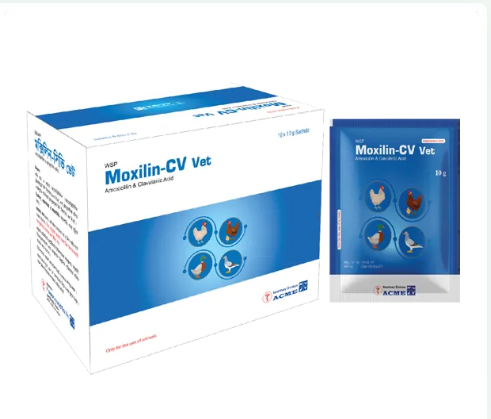 Moxilin CV 100g