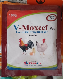 V Moxcef Vet 100gm