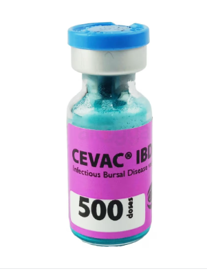 ACI Gumboro Cevac IBD L 500d