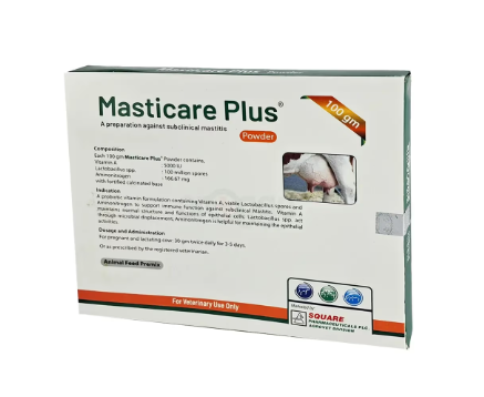 Masticare Plus 100 gm