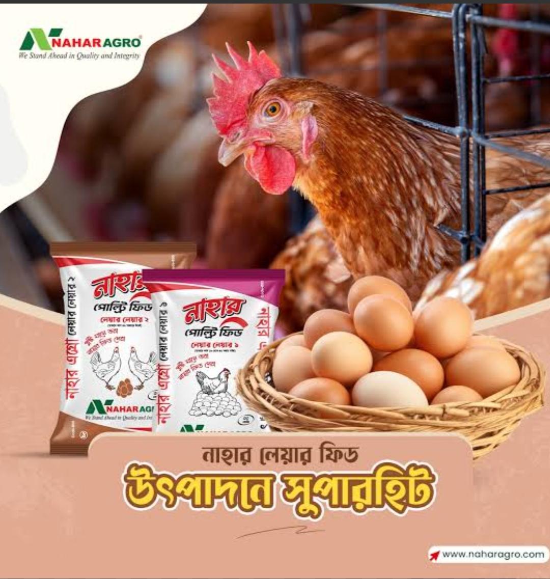 Nahar Layer 1 ( নাহার লেয়ার লেয়ার-১ ) ৫০ কেজি
