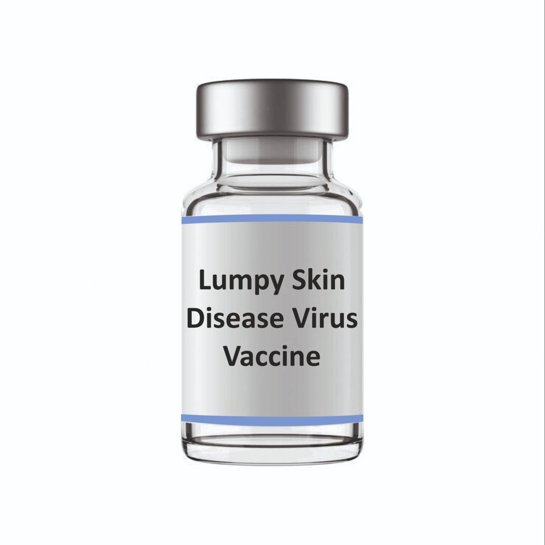 LSD 12 doses Vaccine