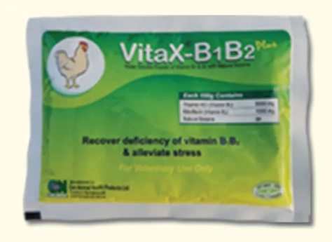 VitaX B₁B₂ Plus Powder 100gm