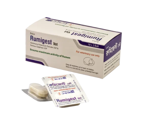 Rumigest Vet Bolus (10×2’s)