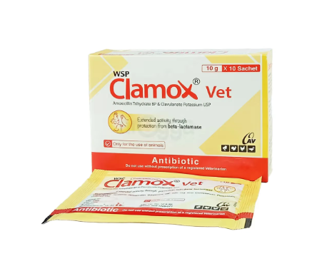 Clamox Vet 10gm