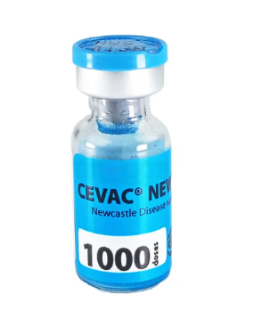 ACI Rani Cevac New L 1000d