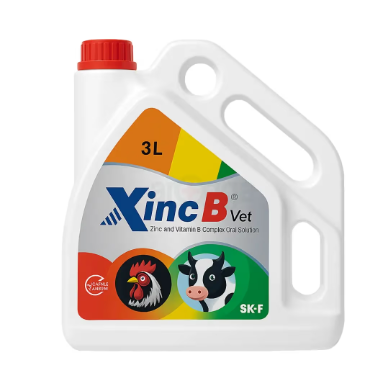 Xinc B 3ltr