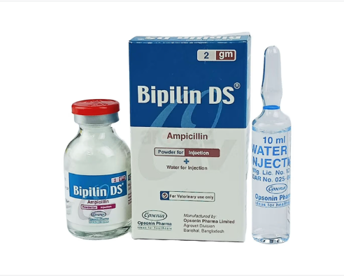 Bipilin DS 2gm Injection