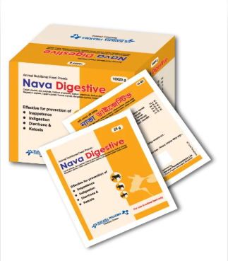 Nava Digestive 10×25gm