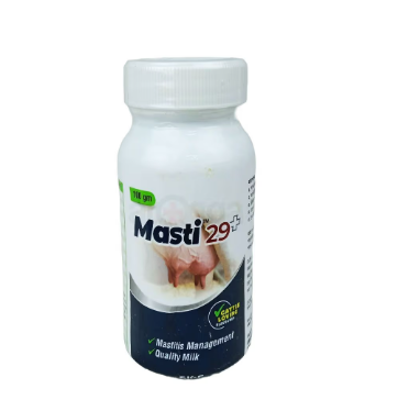 Masti 29+ 100 gm