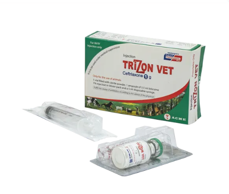 Trizon vet 1 gm Injection
