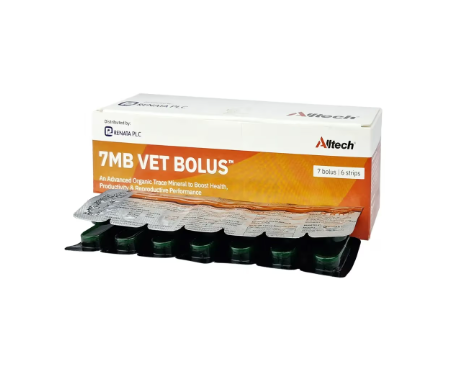 7MB VET BOLUS (6x7's)