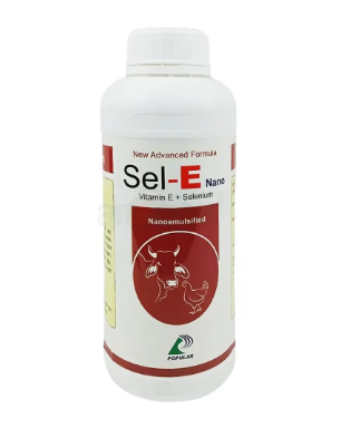 Sel E 500ml