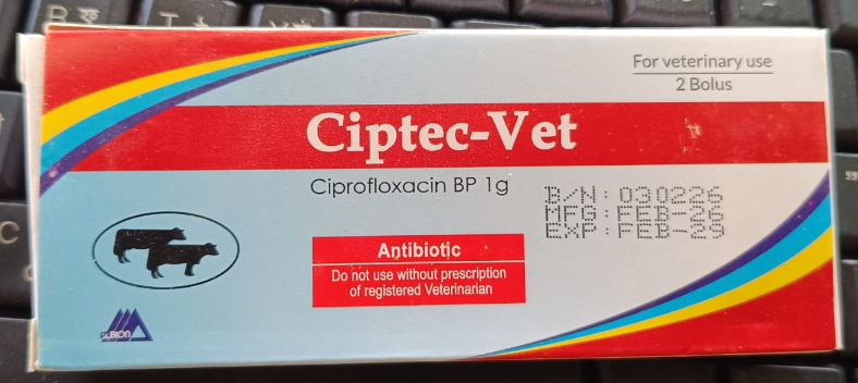 Ciptec vet 1g Bolus 5x4's
