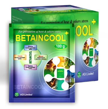 Betaincool Plus 100gm