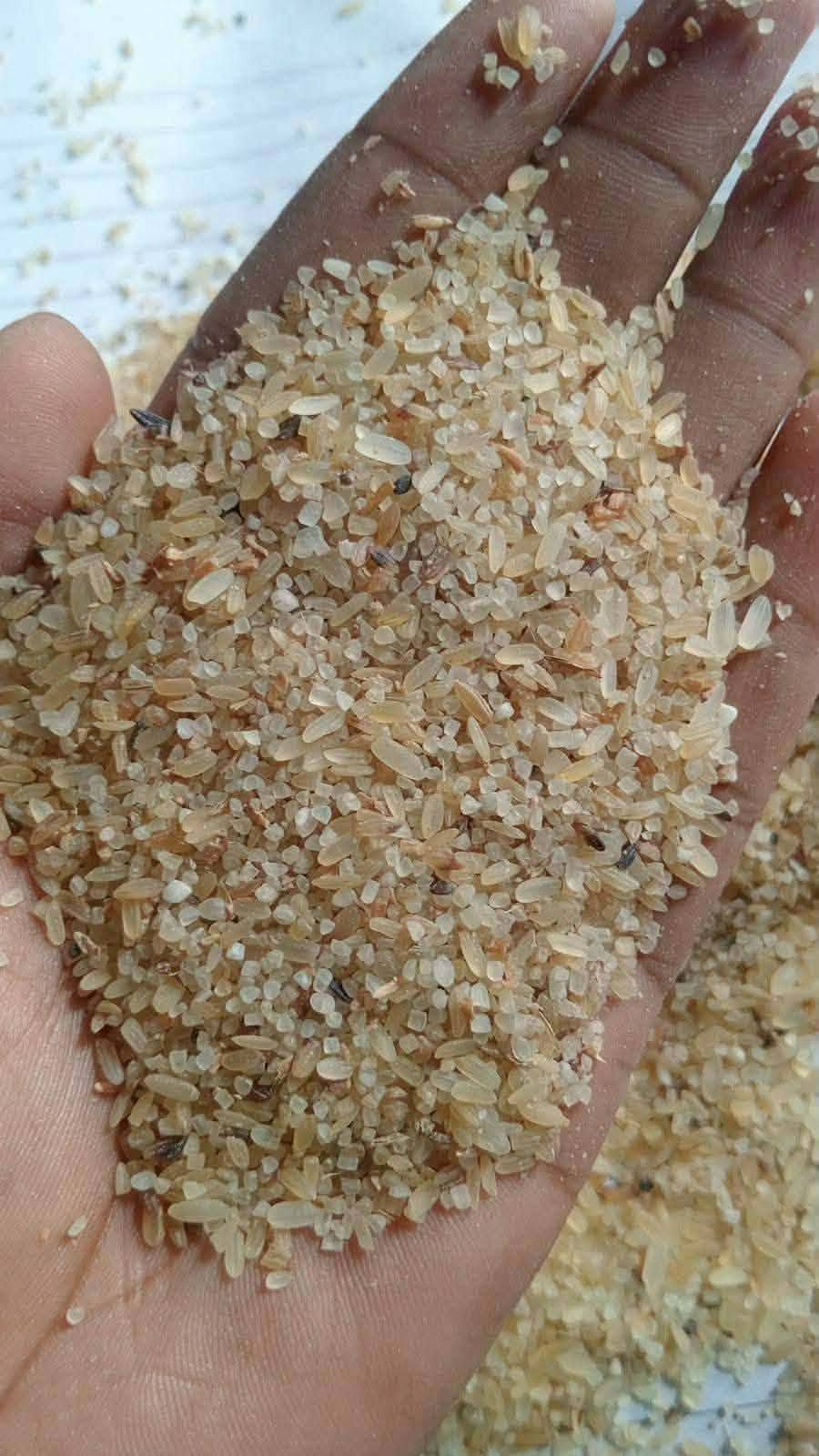 Kon khud (কোণ খুদ ) ৫০ কেজি বস্তা
