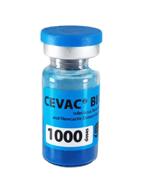 ACI Rani+Bronchitis Cevac BIL 500d