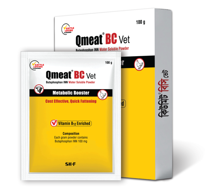 Qmeat BC 100 gm Powder