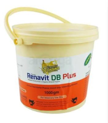 Renavit DB Plus 1kg