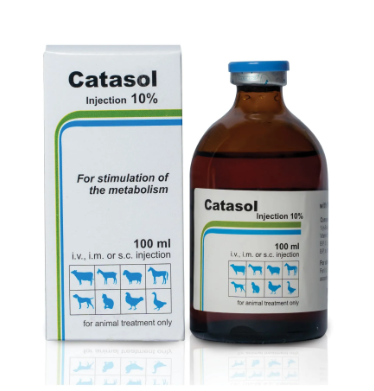 Catasol 100ml Injection