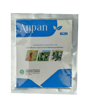 Anpan 100gm
