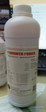 P Growth Power 1ltr