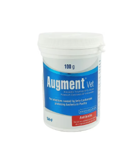 Augment vet 100gm