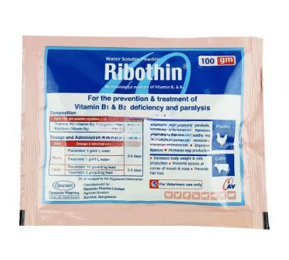 Ribothin 100 gm WSP Sachet