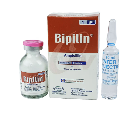 Bipilin 1gm Injection