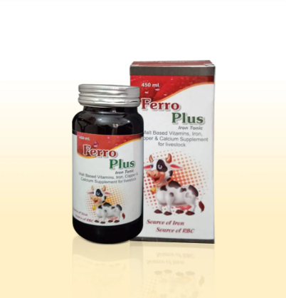 Ferro Plus Liquid 450 ml Bottle
