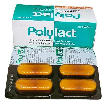 Polylact vet Bolus 3x4's