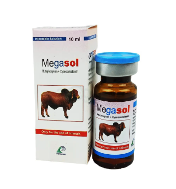 Megasol 10ml Injection