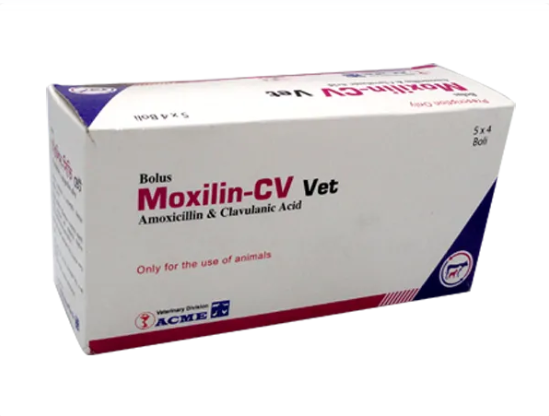 Moxilin CV Vet Bolus 5x4's