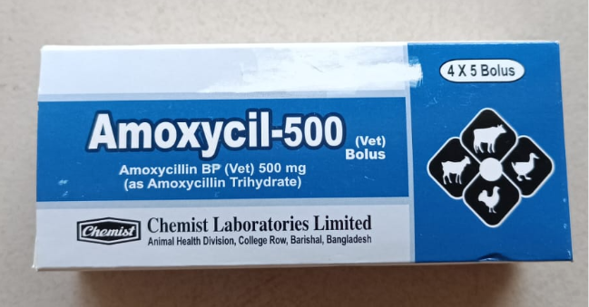 Amoxycil 500 vet Bolus 4x5's