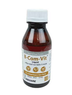 B Com vit 100ml