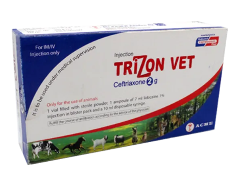 Trizon vet 2gm Injection