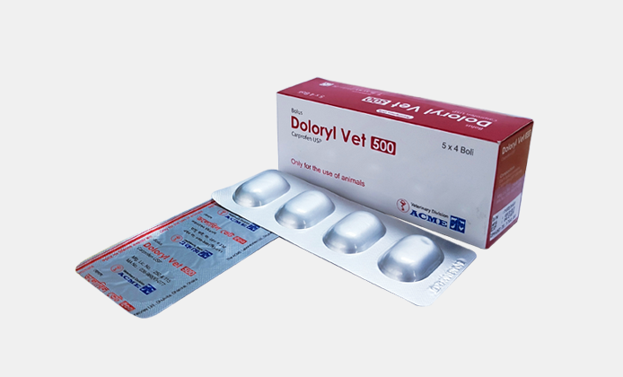 Doloryl Vet Bolus 100 mg (5 × 4's)