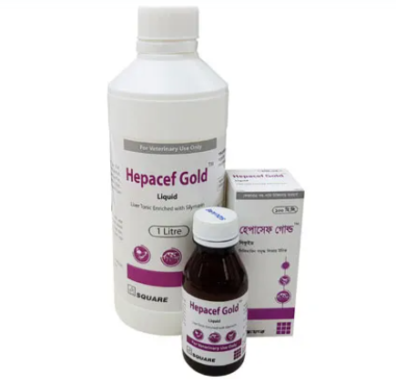 Hepacef Gold Liquid 100ml