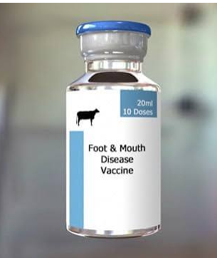 FMD 50 Doses Vaccine