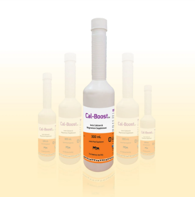 Cal Boost Gel 300 ml botle