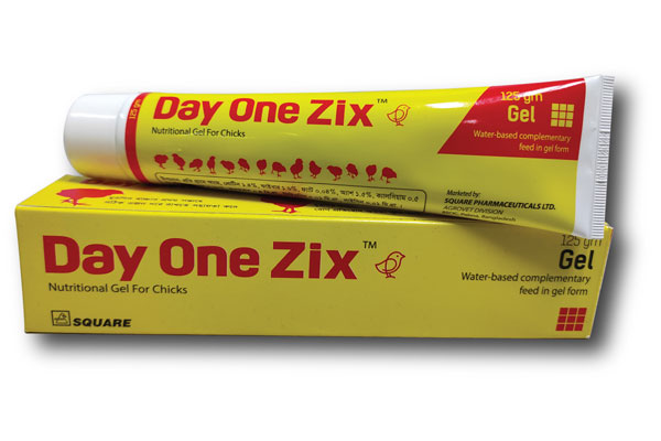 Day One Zix 125gm