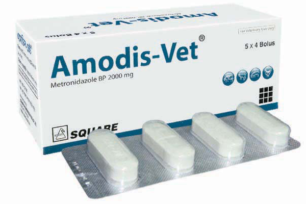 Amodis Vet Bolus 5x4's
