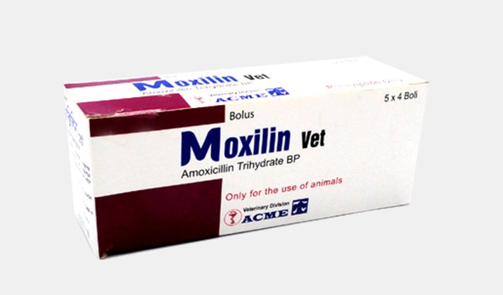 Moxilin Vet bolus (5 × 4's)