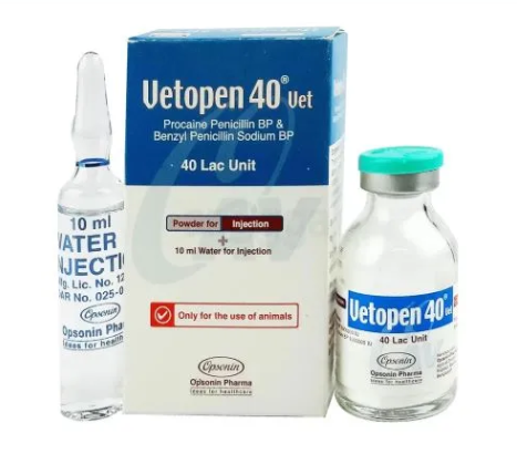 Vetopen 40 Injection