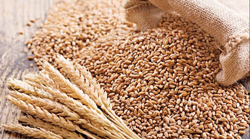 Gom Deshi ( গম দেশী ) ৫০ কেজি বস্তা