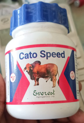 Cato Speed